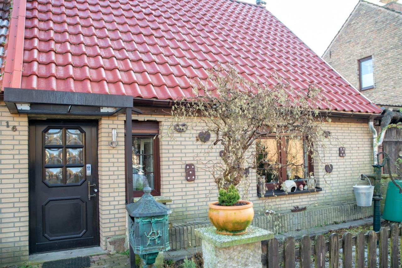 Ferienhaus Am Reiterhof Templin Exterior photo